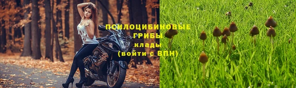 СК Абаза