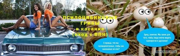 СК Абаза