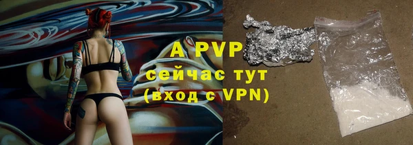 прущие крисы Алзамай