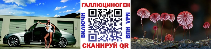 hydra зеркало где можно купить наркотик Балаково Галлюциногенные грибы прущие грибы